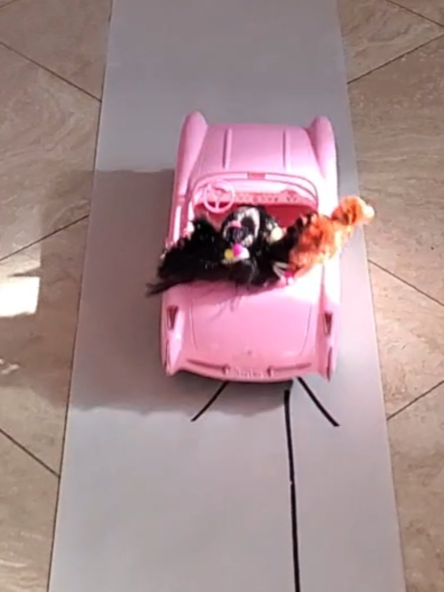 A day in the life 😆💖 #barbie #barbielife #barbiecorvette #corvette #fyp 