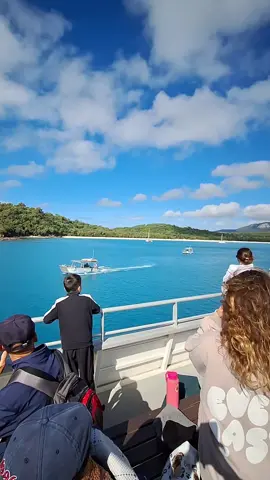 Cruise Whitsundays taking us around Whitsunday Island. #Queensland  #Whitsundays  #whalewatching 