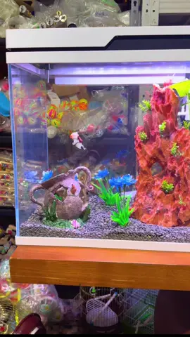 🌟 Introducing Our New Smart Aquarium 🌟 For the Lazy, the Busy, and the Brilliant! 🐠📱 Love fish but hate the hassle? Say goodbye to stress and let your aquarium do the work for you! ✨ Features you’ll love: ✅ Automatic Feeding System ✅ Self-Cleaning Technology ✅ App-Controlled Functions ✅ LED Mood Lighting ✅ Simple Plug & Relax Setup Perfect for homes, offices, and anyone who wants the beauty of an aquarium without the daily chores. Because caring for fish should be smart, simple, and stress-free. 💡 Smart Aquarium – A Lazy Genius’s Dream! 📍 Available now at Adil Petlovers Ltd 📲 +230 5882 1270 | +230 5781 1978 🛒 Shop online: www.adilpetlovers.com #Mauritius #SmartLiving #AdilPetlovers