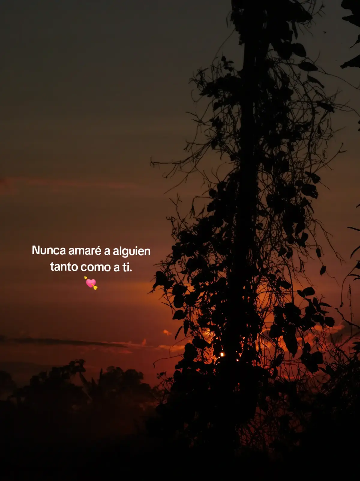 #amoradistancia💌🥺 #conqmor😍❤️#paratiiiiiiiiiiiiiiiiiiiiiiiiiiiiiii #teextrañomucho🥺❤️ @💗♡❣️Anita🦖 