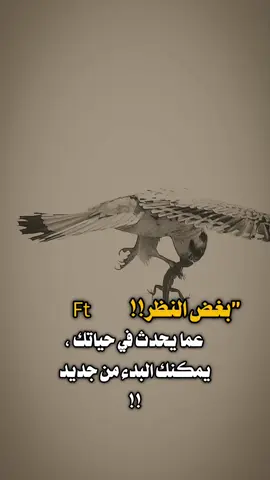 #تصميم_فيديوهات🎶🎤🎬 #عبود_الوحش #مصمم_فيديوهات_محترفة🎶🎤🎬📽 #عباراتي_من_القلب 
