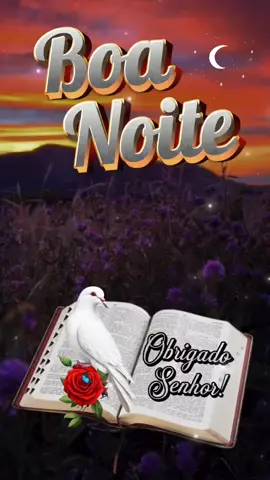 Boa noite domingo 🙏🏻❤️. #boanoite #oração #mensagemdefé #reflexão #amém 