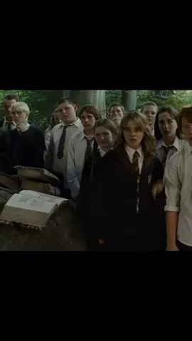 #CapCut #hermoinegranger #fyppp #harrypotter #hermoinegrangeredit 