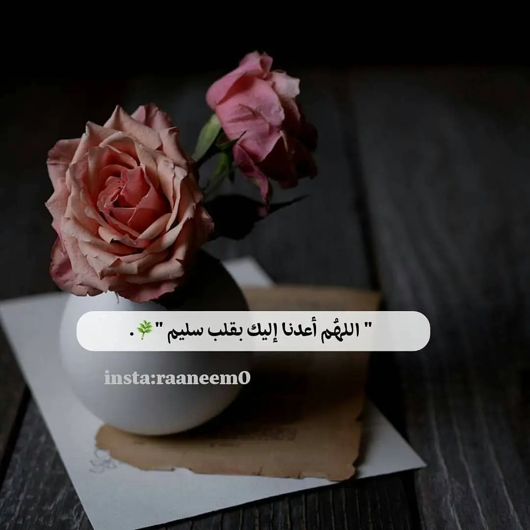 اللهم امين يارب 🤍