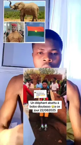 Réponse à @1xcameleonjunior @caméléon officiel de paris #Burkina Faso 🇧🇫🇧🇫💯🇲🇱🇮🇳