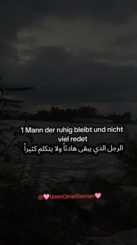 1 Mann der ruhig bleibt und nicht viel redet #deutschlernen🇩🇪 #1omalomar #flypシ 