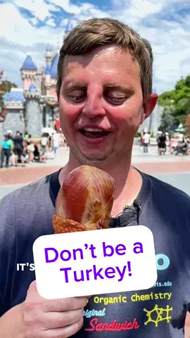 From medieval feasts to Main Street, this giant snack has been fueling festival vibes for centuries! #TurkeyLeg #ThemeParkEats #FestivalFood #drhoby #tiktokpartner 