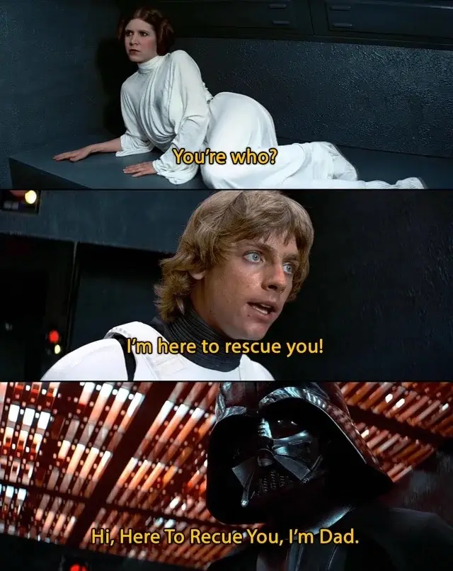 Darth Vader loves the dad jokes #clonetroopergear 