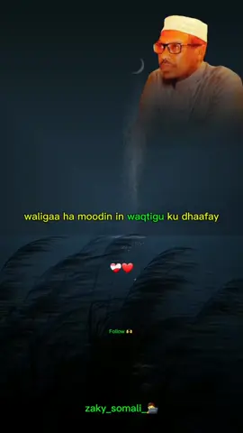 inta kuu hartay ee cimriga baa wax soo saar yeelan karta-🫶❤️‍🩹🔥-#dhiirigalin #sheekhmustafe #motivation 