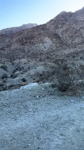 Morning hikes are the best 😍 #peaceful #coachellavalley #hikes 