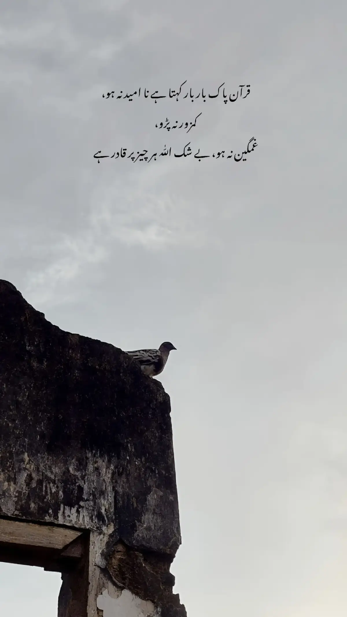True lines ❤️✅#fyp 