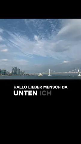 💔 manchmal fehlen die Worte. 1000 Tage ohne dich -  und doch bist du in jedem Gedanken, jedem Atemzug bei mir. Dieses Gedicht fühlt sich an wie ein leiser Gruß von dir, ein Zeichen, dass du nicht ganz fort bist #Trauer #Kindverlust #Trauerliebe #Unvergessen #fürimmerimherzen 