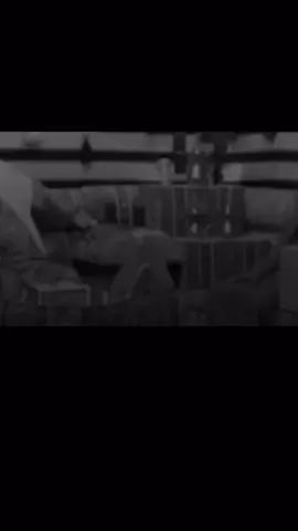 @TikTok #زاخو_دهوك_هولير_سليماني_ئاكري_سيم #زاخو_دهوك_هولير_سليماني_ئاكري_سيمي #zaxo_duhok_hewler_slemani_hawler 