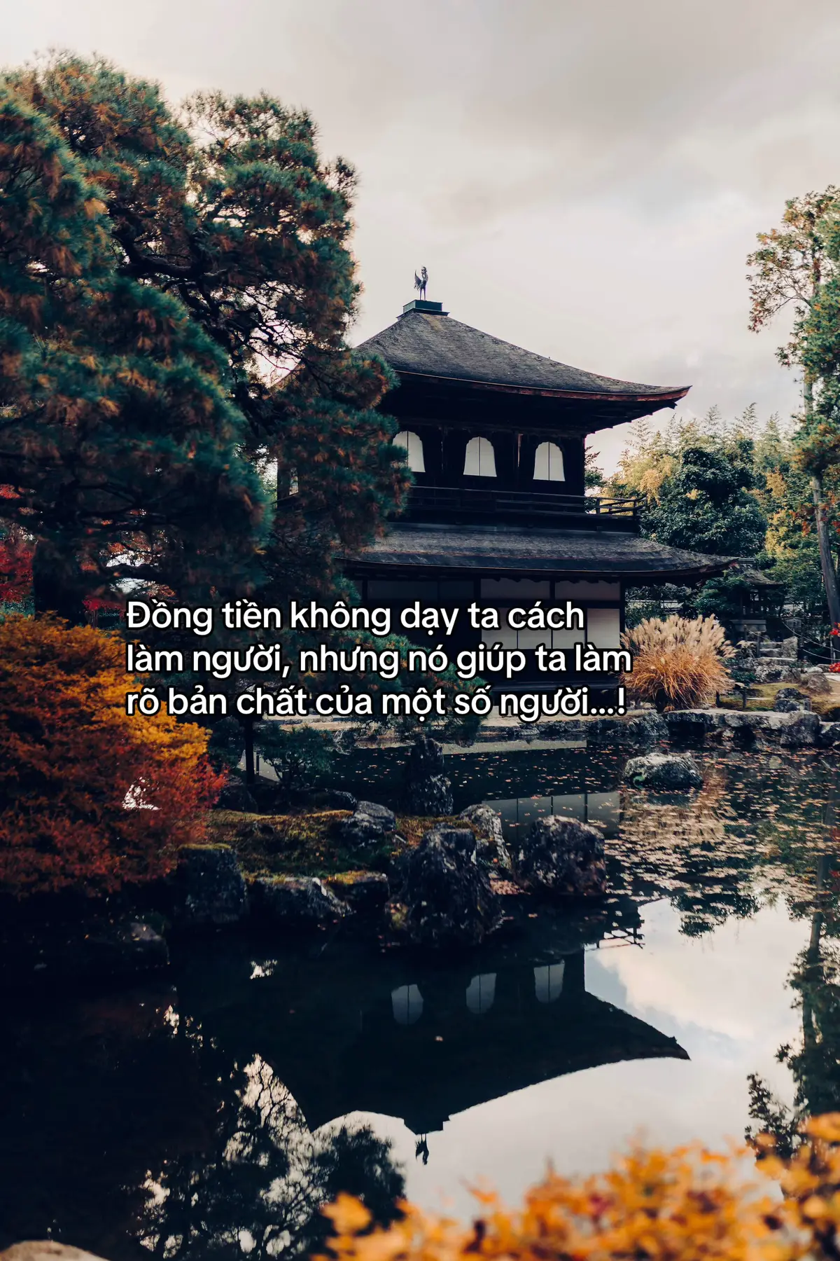 #xuhuongtiktok #fyp #viral #caption #story 