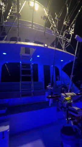 Production boats🤷🏽‍♂️ #gulfofamerica #marlin #fishing #hatteras #foryoupage 