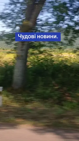 #хорошіновинивідзсу #всебудеукраїна🇺🇦💙💛 