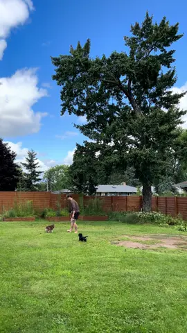 Our backyard 🥹