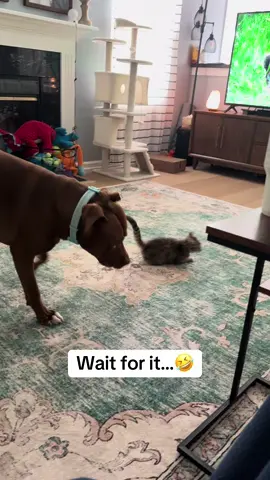 A different kind of speedbagging 🤣