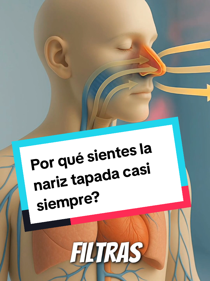 Por qué sientes la nariz tapada casi siempre? #datoscuriosos 