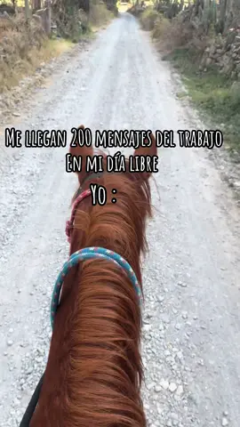 Respeten caracho 😤😜 jajaja #humor #escapadita  #cabalgataencaballo #girl #perú🇵🇪 