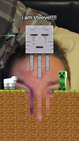 I am steve #Minecraft 