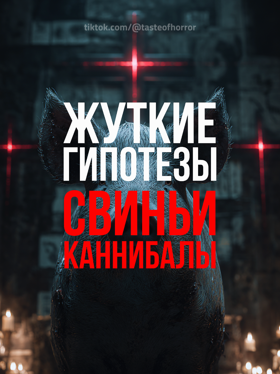 Жуткие гипотезы: свиньи каннибалы. #pigs #theory #science #biology #creepy
