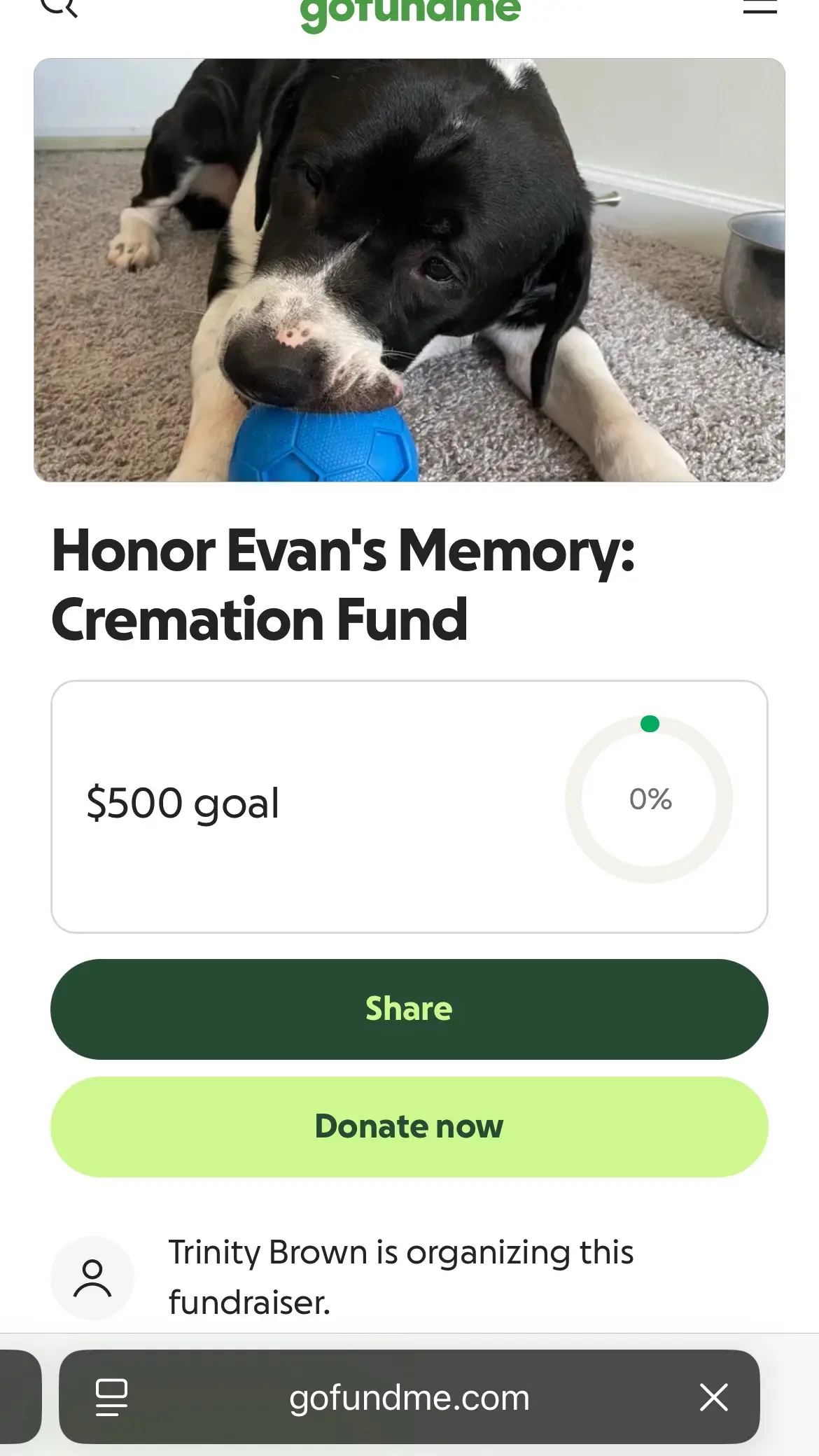 My baby… my whole world… my everything…  My baby Evan passed away late last night as he suddenly fell ill at only age 6 😭 He was my reason for living, my strength, my hope and without him I am truly left beyond devastated and not okay 😭😭😭 I made a go fund me so if anyone is able to help donate, anything big or small, it is appreciated beyond words can measure… please help me bring my baby home 😭😭😭 #grief #loss #petlossgrief #petloss #gofundme #donate #donation 