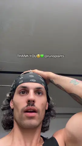 Detailed video on them later, I just wanted to show you guys NOW🥹 (this is not an ad)    @Runo Plants LLC thank you so much, I can't wait to watch them grow! If you haven't already go check them out. They have deals on their live streams DAILY and the team is the absolute best with communication if you have any questions!  I'm the worst at these thank you videos but this made my whole month! I'll stop yapping now,  once more... THANK YOU RUNO PLANTS!💚