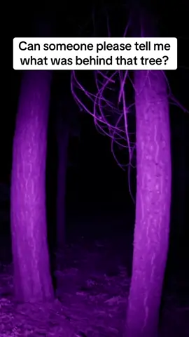 Does anyone know what is watching me out here? #fyp #creepy #scary #horrortok #scarytiktoks 