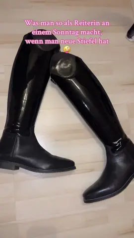 Stiefel einkaufen - beste 🤪 #stiefel #neuestiefel #dressurstiefel #busse #pferdemädchen 