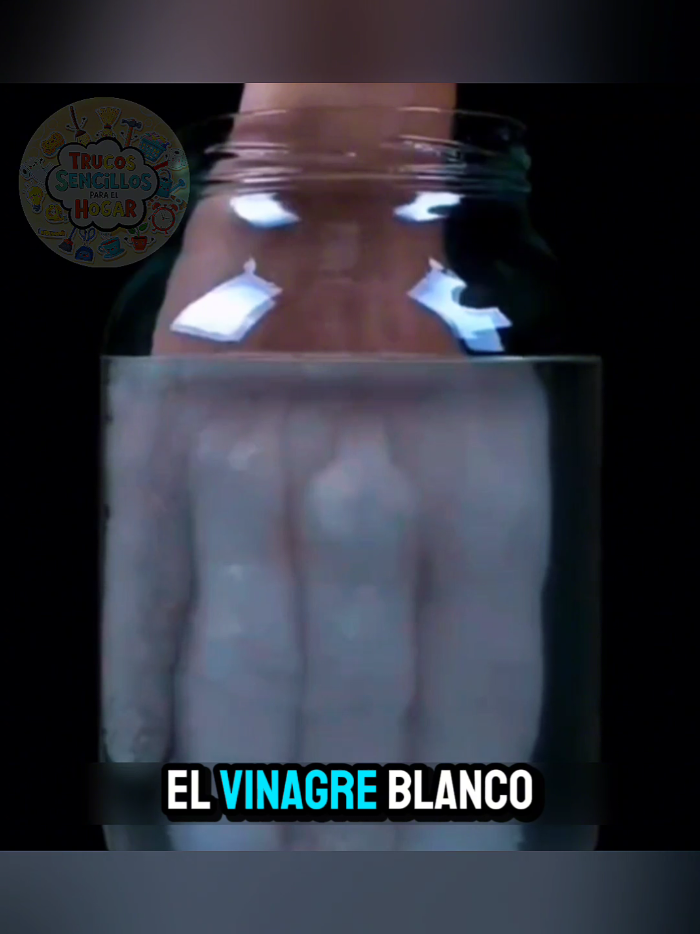 trucos con vinagre blanco #Viral #videoviral #fyp 