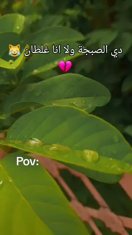 #foryou #f#الشعب_الصيني_ماله_حل😂😂 #لايك_متابعه_اكسبلور #مشاهير القضارف 