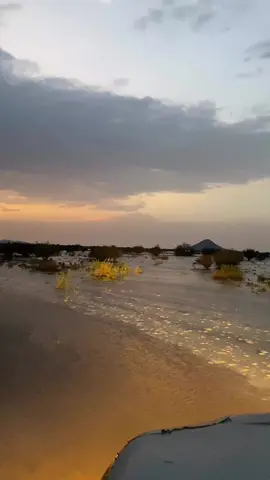 عسى الله ينفع به ويطرح البركه 