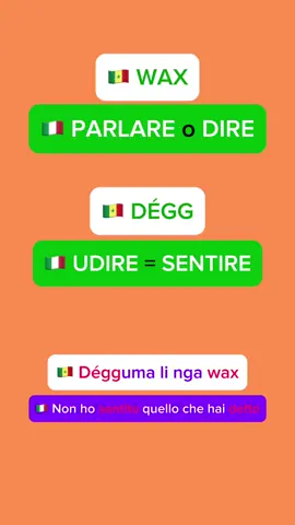 Alcuni verbi + vocaboli utili in WOLOF / ITALIANO 🇸🇳🇮🇹 Wax - Parlare/Dire Dégg - Udire (sentire) Xool - Guardare Gis - Vedere Dama bëgg - Mi piace Def - Fare Segui @wolofakbecksprof per imparare di più ✨ #imparawolof #culturasenegalese #italiano #senegal #wolof 
