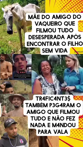 Brasil notícias 🇧🇷🐎🚨🩸    mãe do cara que tava filmando chora muito em velório #justiça #animal #polemica #cavalo 