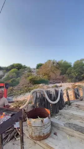 #fypシ゚ #fypageシ #viral #fyp #camping 