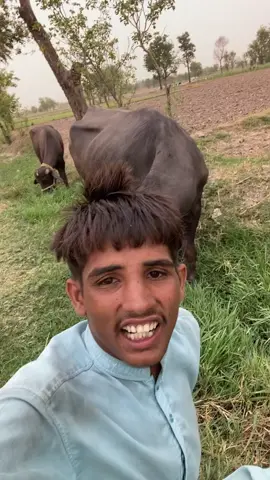 aik din tum salfi mante phiro gye#foryoy #foryoupage❤️❤️ #faisalkamboh #tiktok #foryoupage❤️❤️ main tiktol team ka shorkiya ada kart ho 