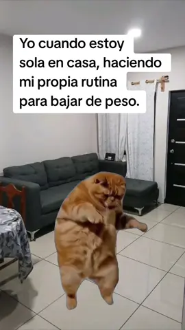 #paratiiiiiiiiiiiiiiiiiiiiiiiiiiiiiii #bajarpeso #viraltiktok #memestiktok #memes 
