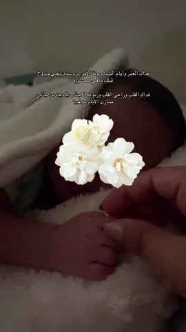 فداك كلي 🤍 ماشاءالله تبارك الله # #fypシ゚ #baby #اكسبلور #بيبي  
