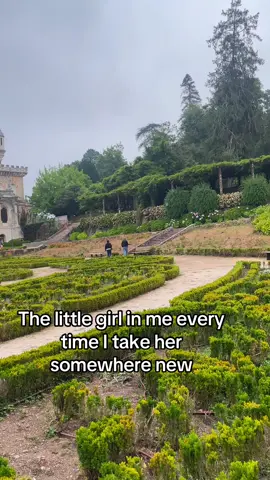 This feeling🥹#portugal🇵🇹 #europeansummer #travel #views #palacebussaco 