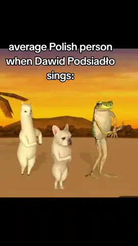 #dc #wybijsie #fyp #viral #fypp @Dawid Podsiadło 