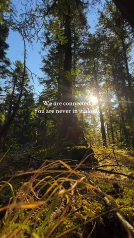 Don’t ever think you have go through things alone. #selfdiscovery #innerpeace #meditation #selflove #HealingJourney 