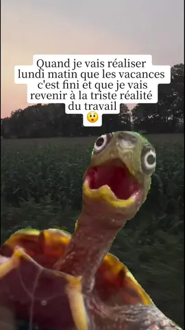 #MemeCut #CapCut 
