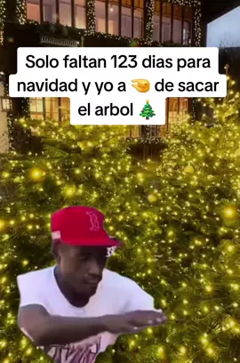 #Meme #memecut #memestiktok #videoviral #navidad 