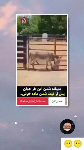 #fypシ #fyp #viral # #tiktok #مسلسلات_تركية🇹🇷  علي                                        sedefinurlan 