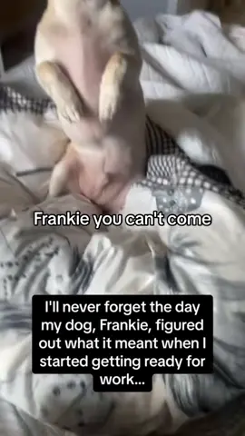 #onthisday 