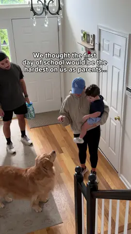 Leaving Frankie at school was hard…but watching Beau wait for him by the door? Heartbreaking.🥹 #dogsoftiktok 