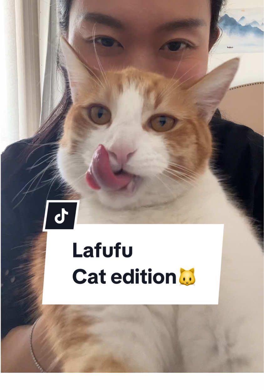 My 14k gold labubu - show me yours :)) #labubu #cat #orangecat #orangecatbehavior 