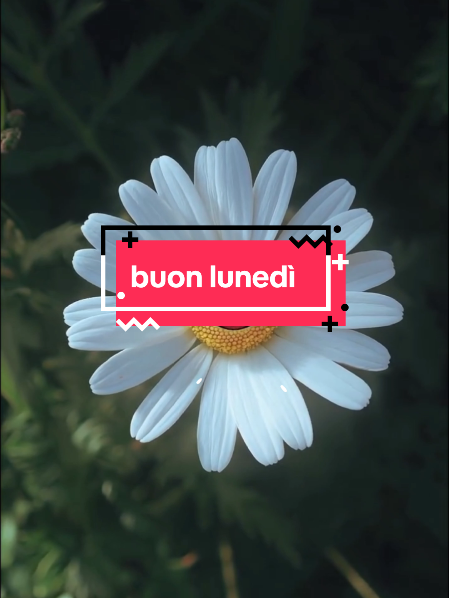 #buonlunedi #buoniniziosettimana #buongiorno 