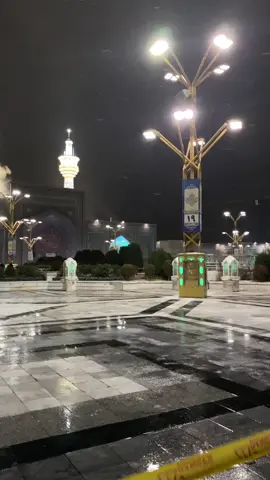 ياضامن الغزال مدد #ذو_الفقار_الكعبي #مشهد #الامام_الرضا_عليه_السلام #ايران #العراق 